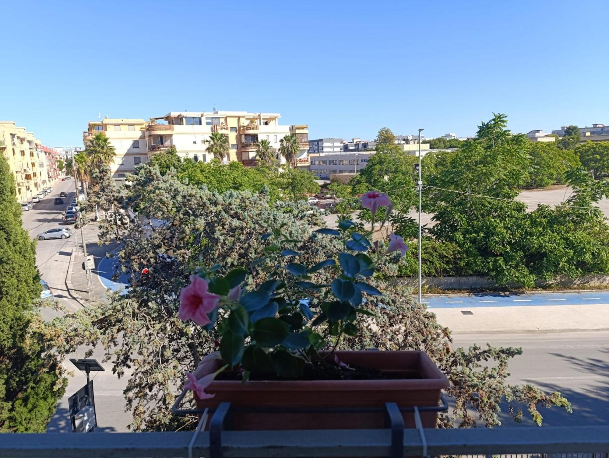 Le Rondini Apartment ตรานิ ภายนอก รูปภาพ